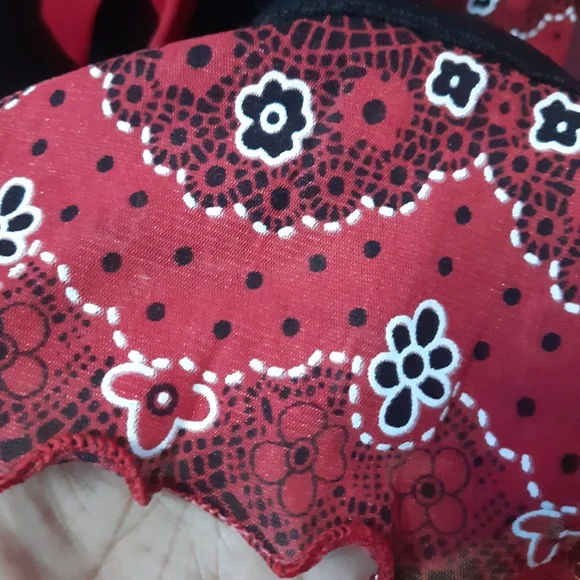 Western Stylish Top - Picture 4 of 5